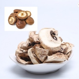 massa asciutta giapponese della borsa di coltivazione del fungo di shiitake di 10x10mm Brown