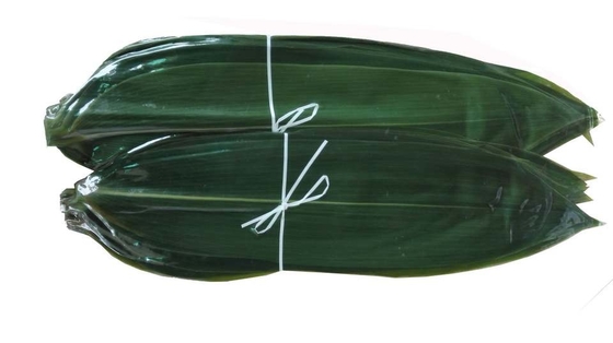 Foglie di bambù fresche Zongye 7.5cm del sashimi della decorazione dei sushi