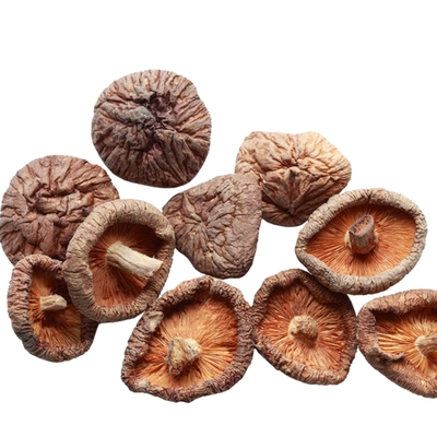 fungo di shiitake asciutto di 100g 250g 1kg 3kg con il HACCP di iso dello SFI (statistiche finanziarie internazionali) di BRC