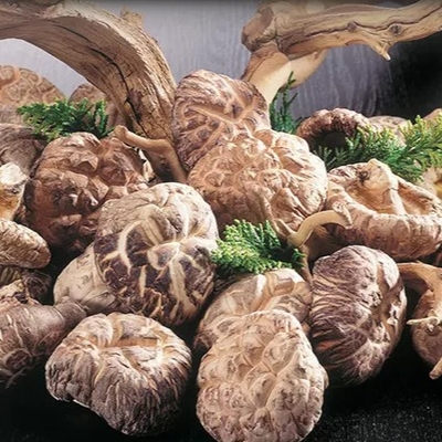 Di shiitake di durata di prodotto in magazzino del fungo 1kg 2 anni di superficie regolari asciutti sani