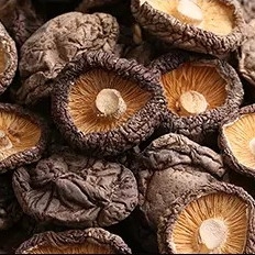 Di shiitake di durata di prodotto in magazzino del fungo 1kg 2 anni di superficie regolari asciutti sani