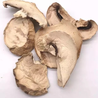 massa asciutta giapponese della borsa di coltivazione del fungo di shiitake di 10x10mm Brown