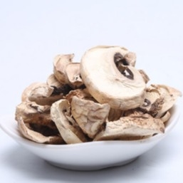 massa asciutta giapponese della borsa di coltivazione del fungo di shiitake di 10x10mm Brown