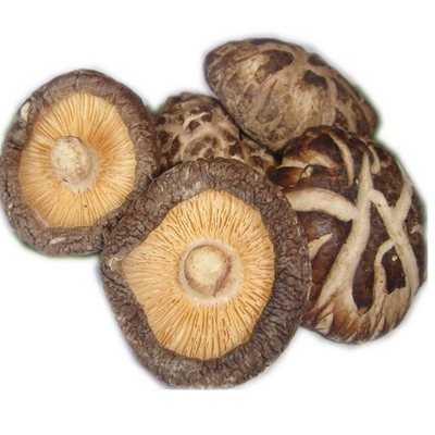 Giapponese asciutto del fungo di shiitake di HACCP 1kg 3kg con buon gusto