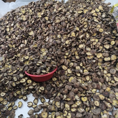 Il fungo di shiitake asciutto in serie naturale ha asciugato i funghi di shiitake organici