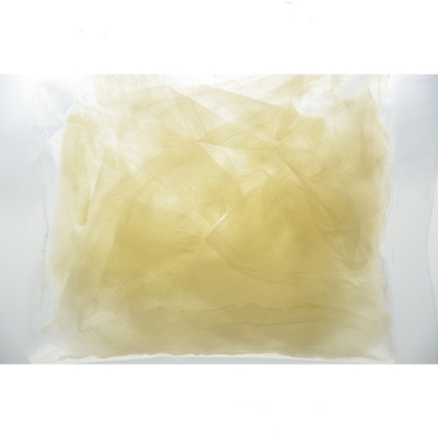 Il HACCP 10g affettato asportabile ha marinato i sushi Ginger In Sweet Vinegar