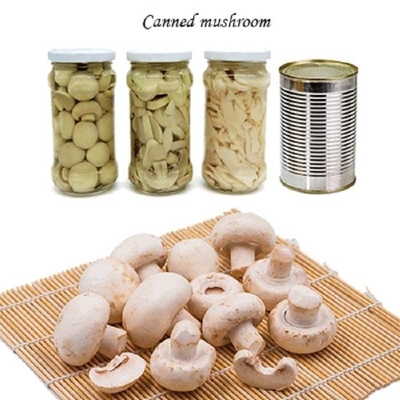 Verdure della frutta in scatola del fungo del fungo prataiolo che Champing le fette del fungo